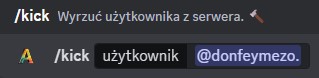 Wygląd użycia polecenia /ban